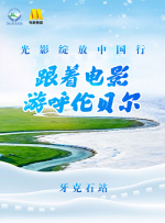 久久久久免费视频