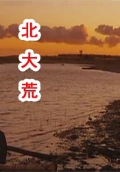 91短视频版在线观看免费大全
